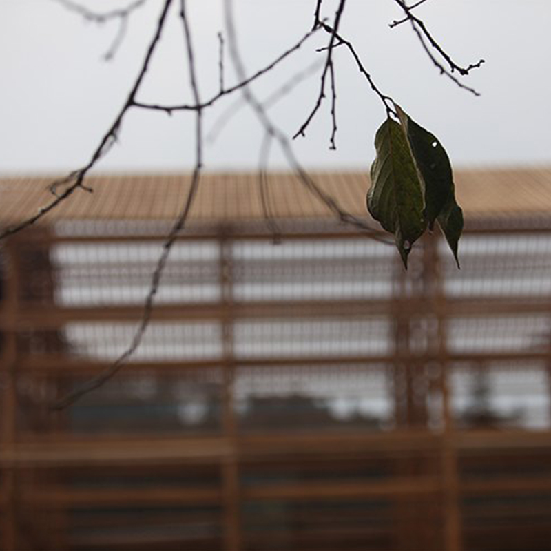 今天的設計——丁偉